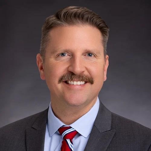 Vice President of Sales